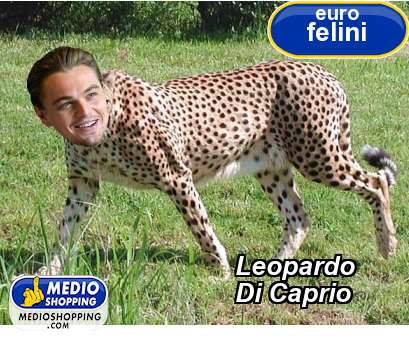 Leopardo          Di Caprio