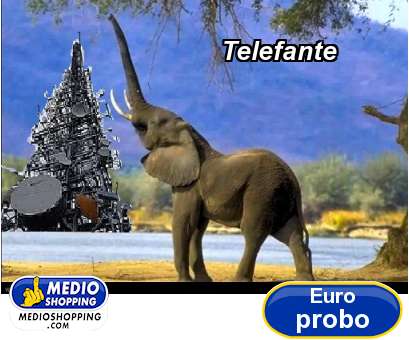 Medioshopping Telefante