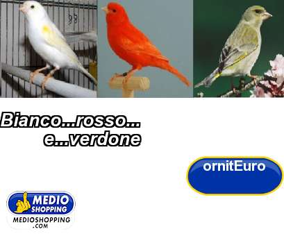 Medioshopping Bianco...rosso...          e...verdone