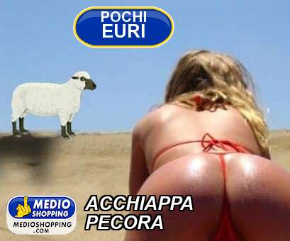 Medioshopping ACCHIAPPA PECORA