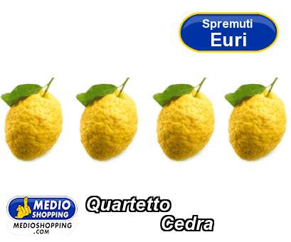 Medioshopping Quartetto                Cedra