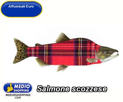 Salmone scozzese