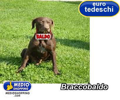 Medioshopping Braccobaldo