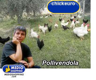 Medioshopping Pollivendola