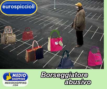 Medioshopping Borseggiatore              abusivo