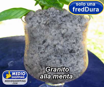 Medioshopping Granito           alla menta