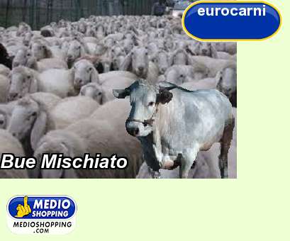 Medioshopping Bue Mischiato