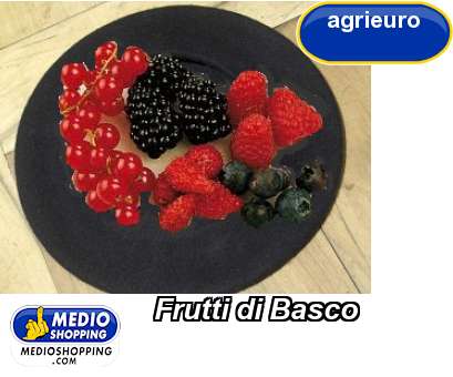 Medioshopping Frutti di Basco