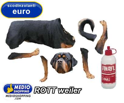 Medioshopping ROTT weiler