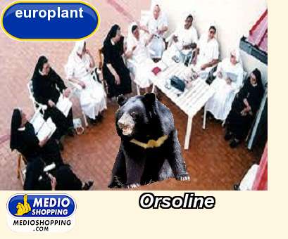 Medioshopping Orsoline