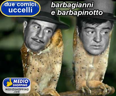 Medioshopping barbagianni e barbapinotto