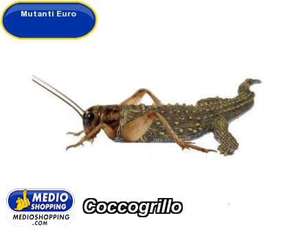 Medioshopping Coccogrillo