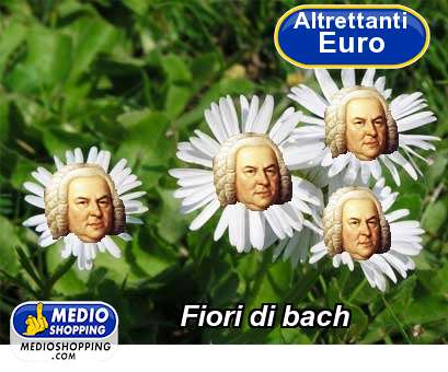 Medioshopping Fiori di bach