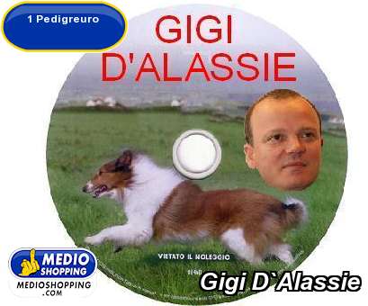 Gigi D`Alassie
