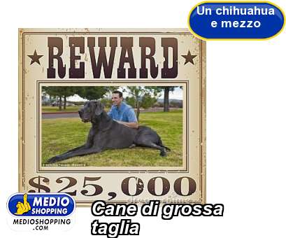 Medioshopping Cane di grossa taglia