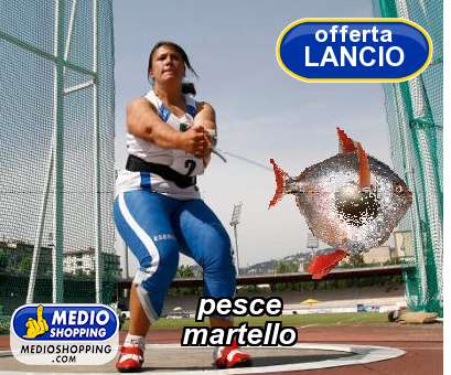 Medioshopping pesce martello