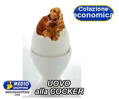 Medioshopping UOVO alla COCKER