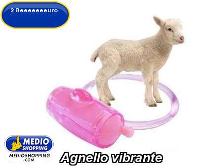 Medioshopping Agnello vibrante