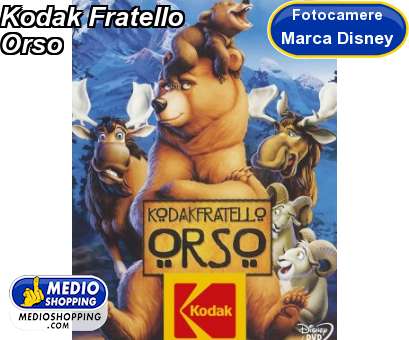 Medioshopping Kodak Fratello Orso