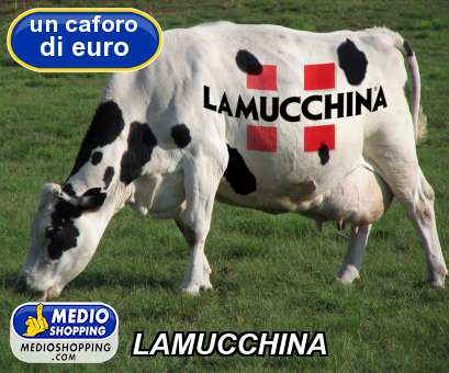 Medioshopping LAMUCCHINA