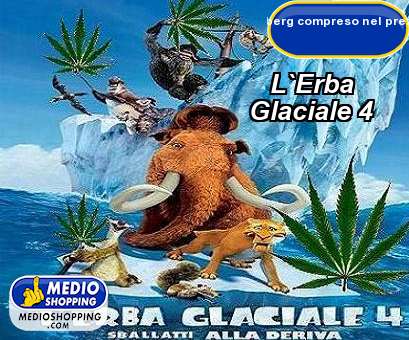 Medioshopping L`Erba            Glaciale 4