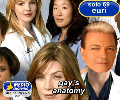 Medioshopping gay`s anatomy