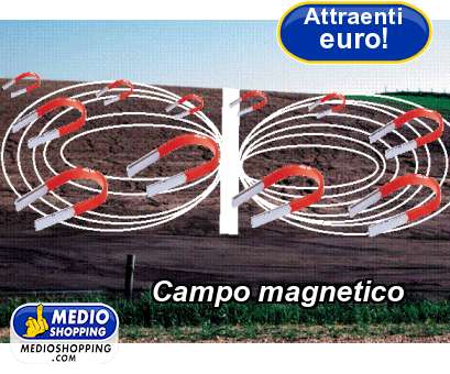 Campo magnetico