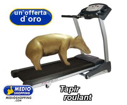Tapir     roulant