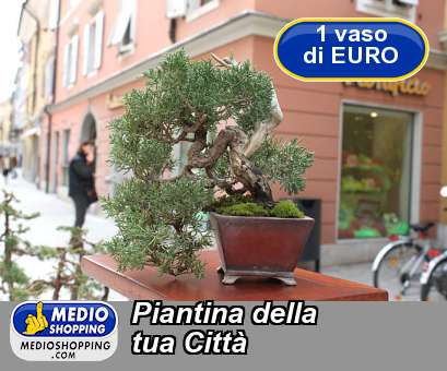 Medioshopping Piantina della tua Citt