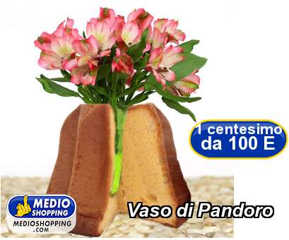 Medioshopping Vaso di Pandoro