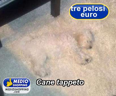 Medioshopping Cane tappeto