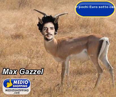 Max Gazzel