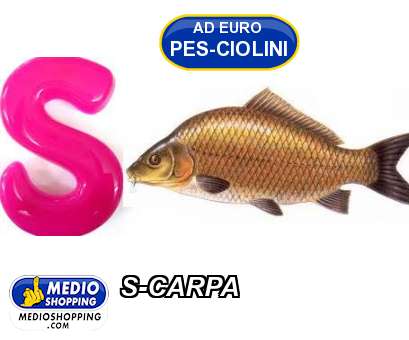 Medioshopping S-CARPA