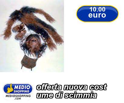 Medioshopping offerta nuova cost ume di scimmia