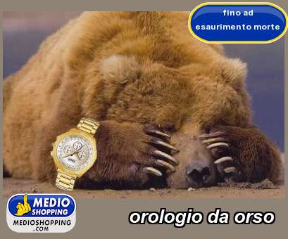 Medioshopping orologio da orso