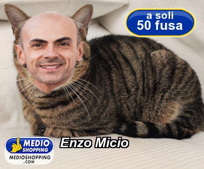 Medioshopping Enzo Micio