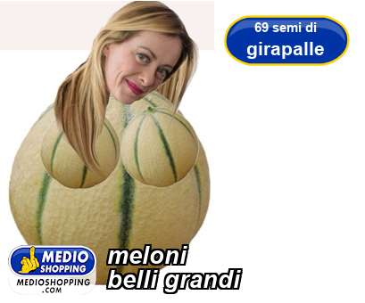 Medioshopping meloni belli grandi