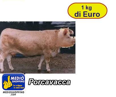 Medioshopping Porcavacca