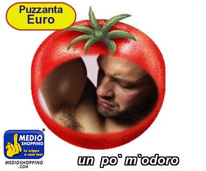 Medioshopping un  po` m`odoro