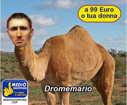 Medioshopping Dromemario