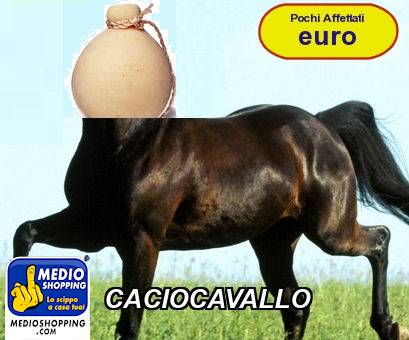 Medioshopping CACIOCAVALLO