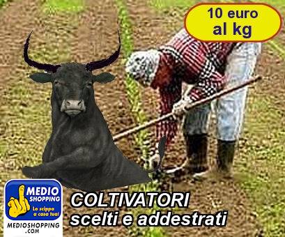 Medioshopping COLTIVATORI scelti e addestrati