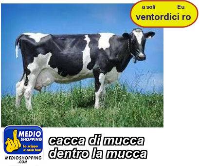 Medioshopping cacca di mucca dentro la mucca