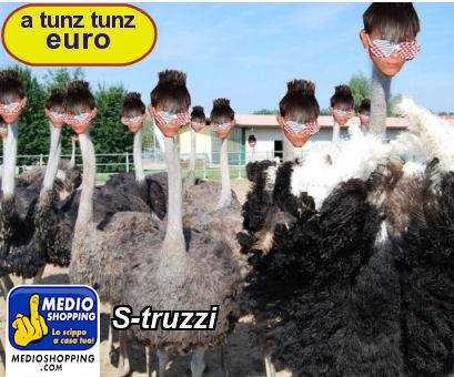 Medioshopping S-truzzi