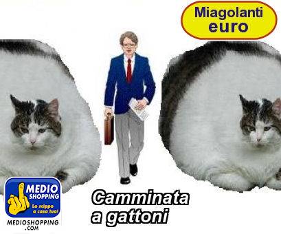 Medioshopping Camminata a gattoni