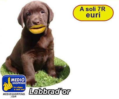 Medioshopping Labbrad`or