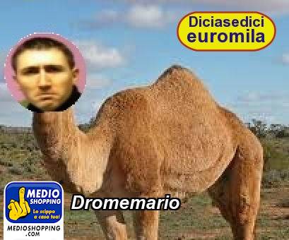 Dromemario