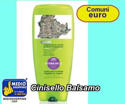 Medioshopping Cinisello Balsamo