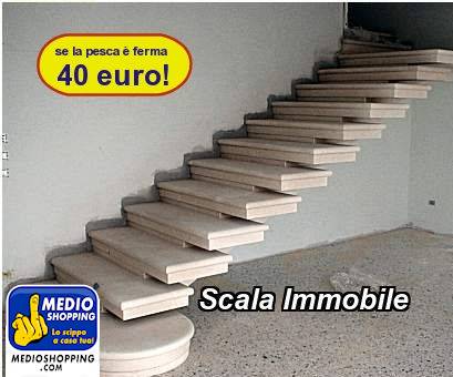 Medioshopping Scala Immobile