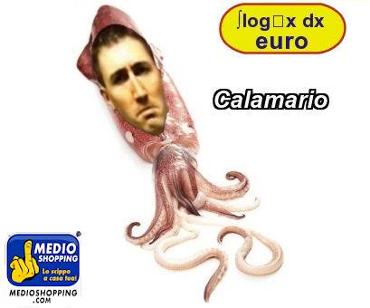 Medioshopping Calamario